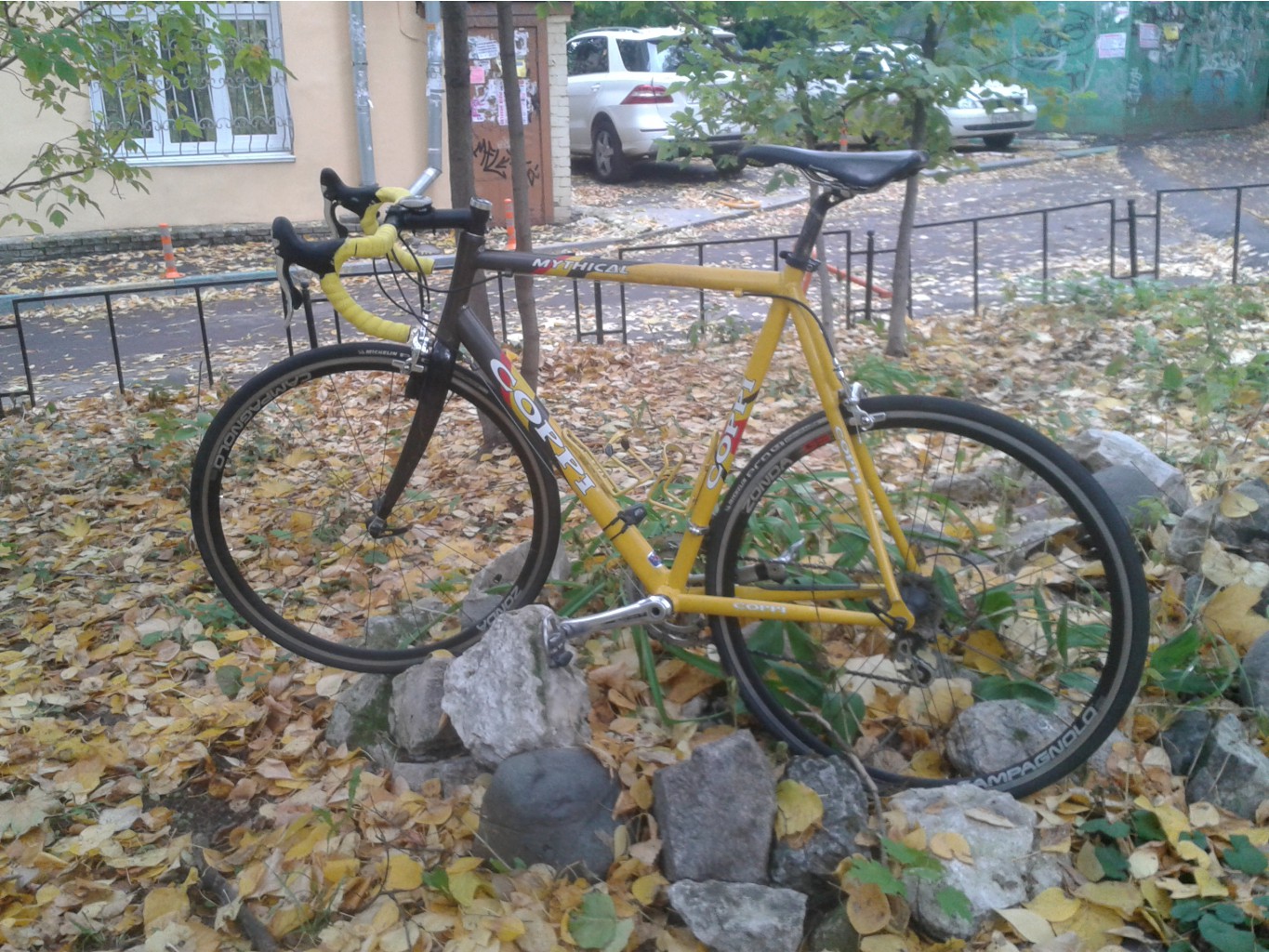 20141005_150349.jpg