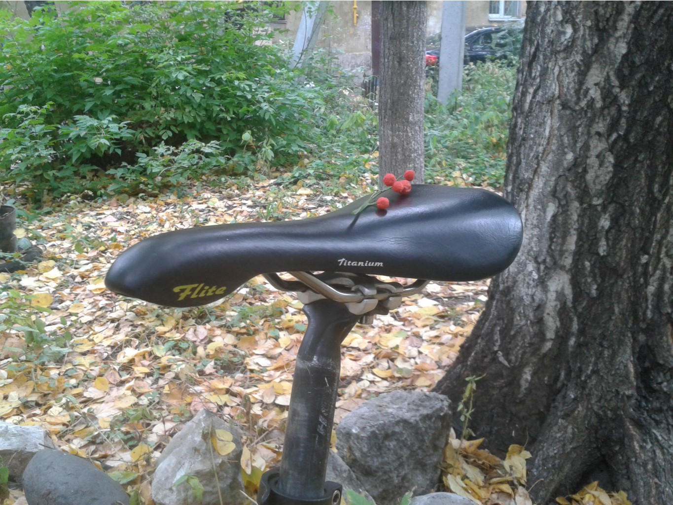 20141005_150549.jpg