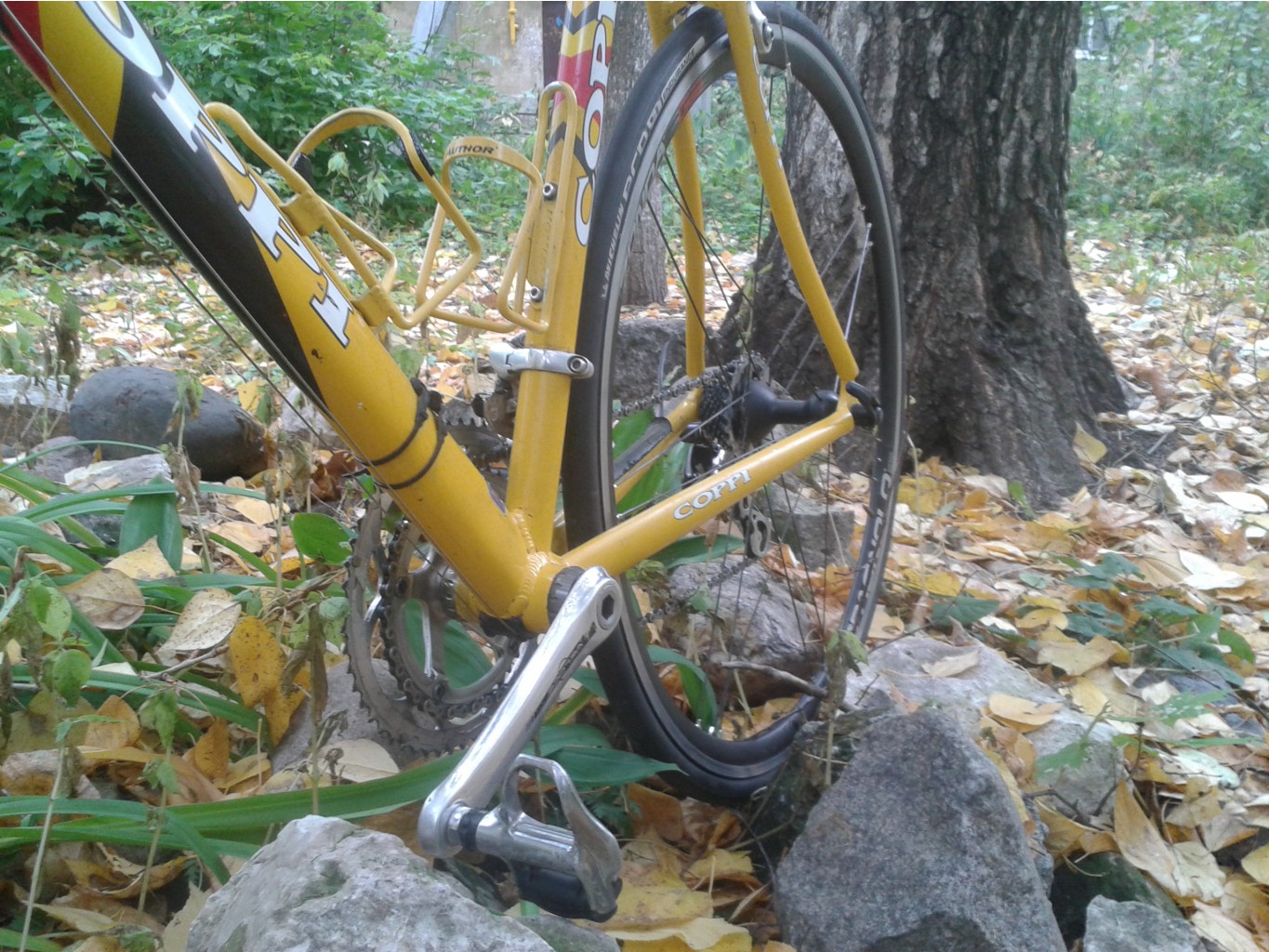 20141005_150616.jpg