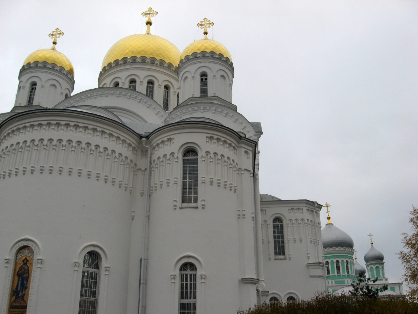 IMG_5048.JPG