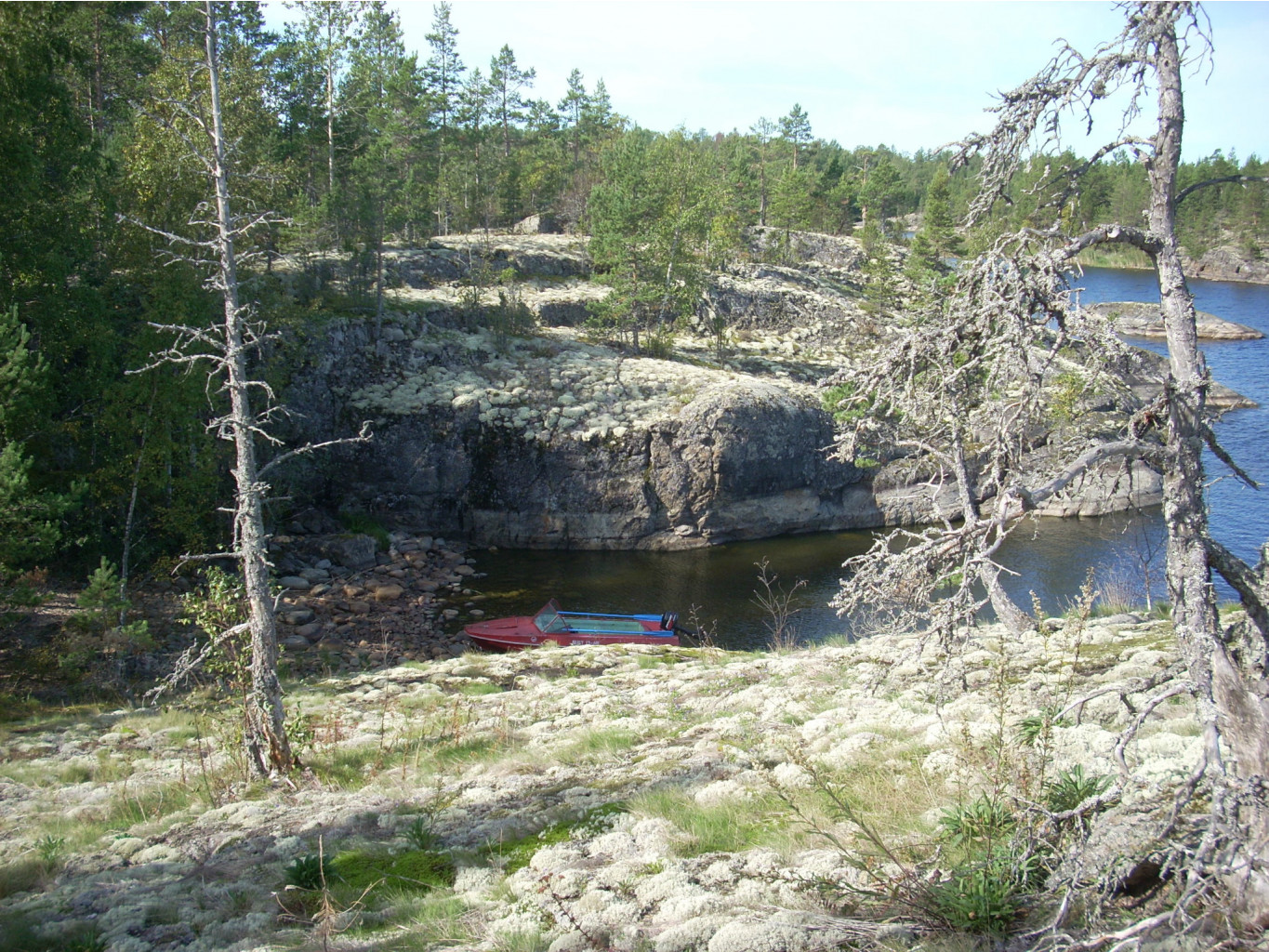  246.jpg