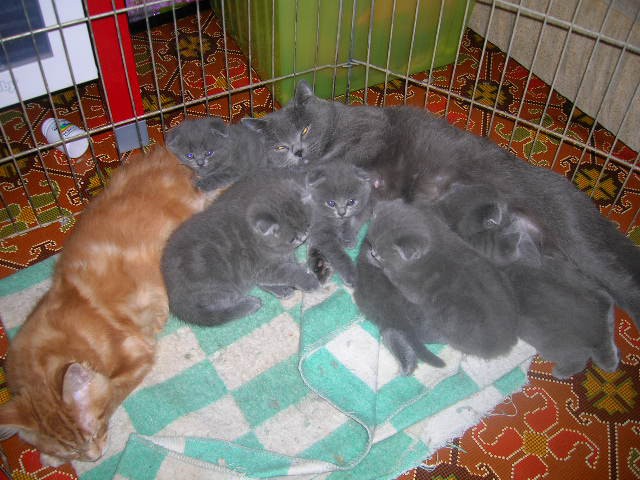 DSCN3702.JPG