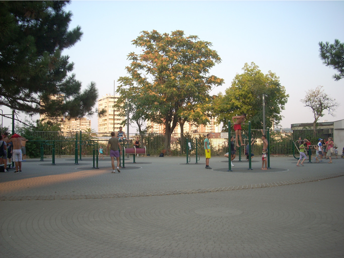  828.jpg