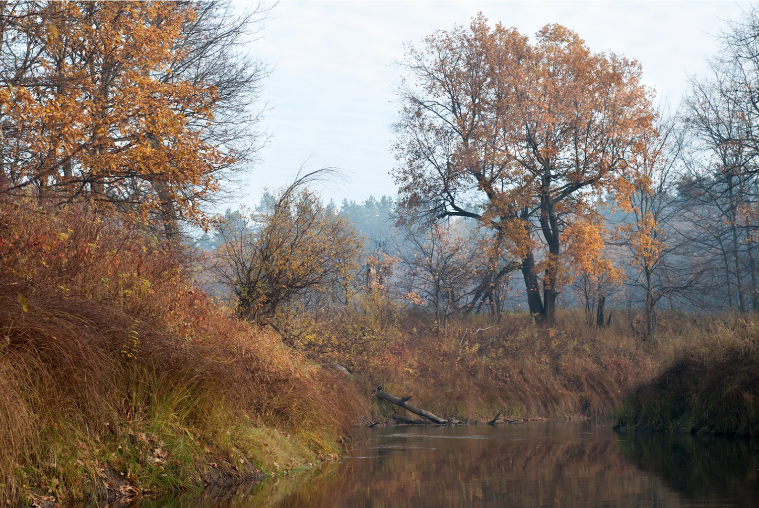 _A174688.jpg