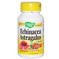 Nature's Way, Echinacea Astragalus & Reishi, 400 mg, 100 Capsules