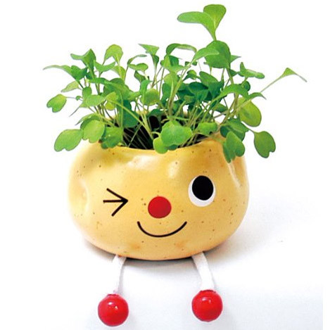     Pote*rinyo _215_(391)