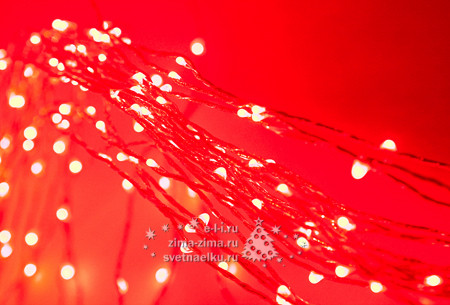    100  MINILED ,10  + 0.3 , 12V,- (BEAUTY LED) - 890.jpg