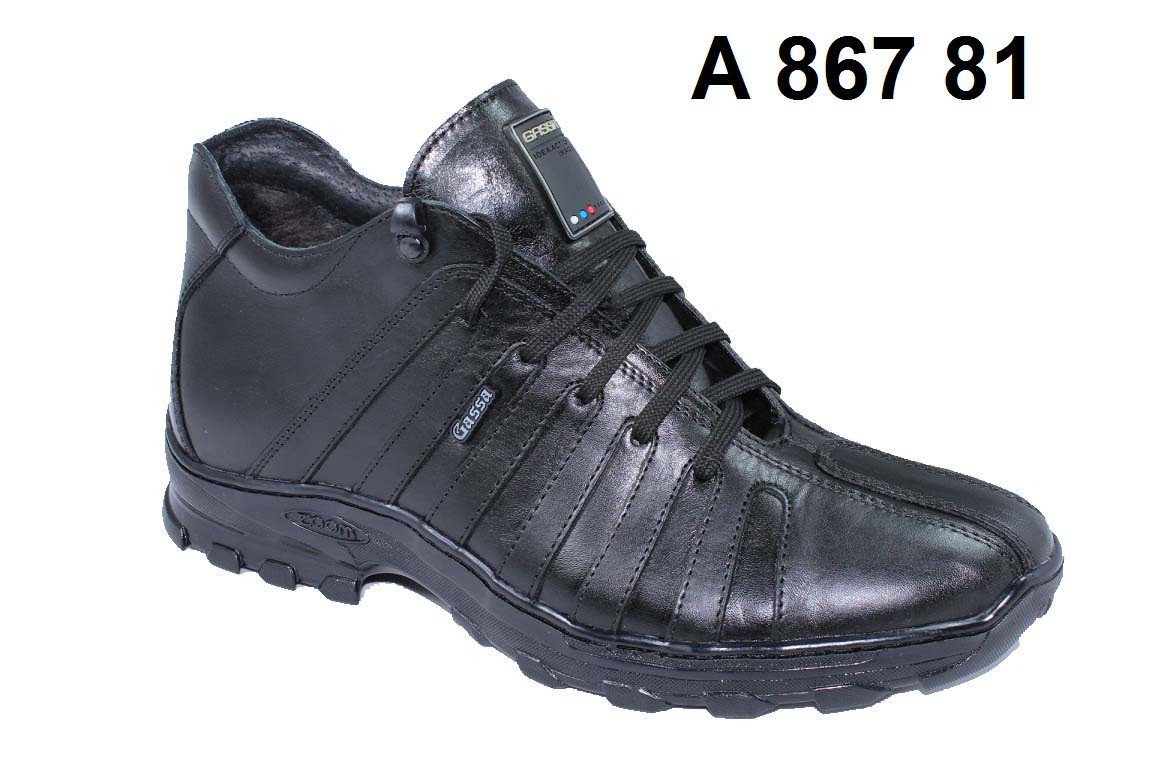 2300. A-867-81