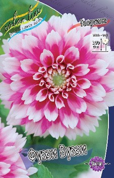 Dahlia Fuzzy Wuzzy 63,2.jpg