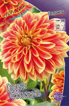 Dahlia Garden Festival 61,2.jpg