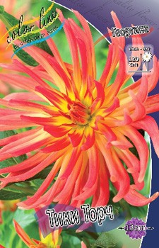 Dahlia Tiki Torch 63,2.jpg