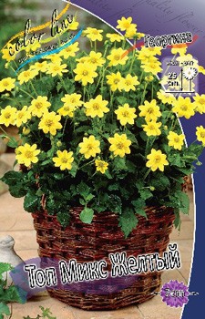 Dahlia Topmix Yellow 53,2.jpg