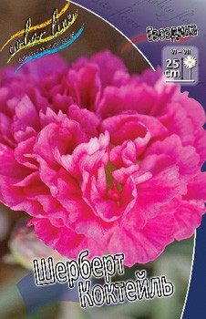 Dianthus Sherbert Cocktail 123,20. 2.jpg