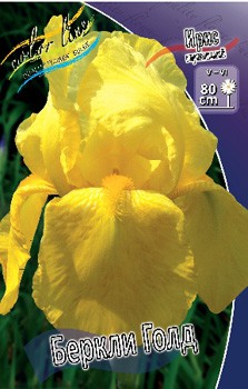 Iris germanica Berkeley Gold 205,3. 3..jpg