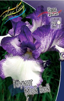 Iris germanica Going My Way 205,3. 3..jpg