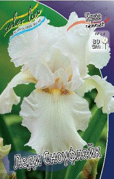 Iris germanica Lady Snowflake 205,3. 3..jpg