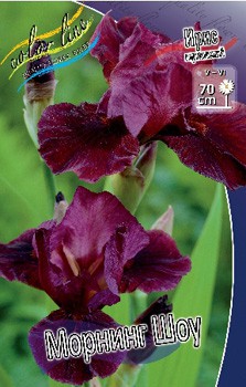 Iris germanica Morning Show 205,3. 3..jpg