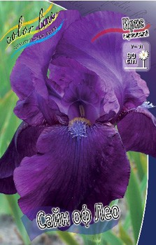 Iris germanica Sign Of Leo 205,3. 3..jpg
