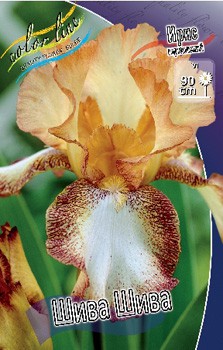 Iris germanica Siva Siva 205,3. 3..jpg