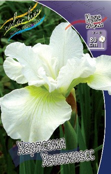 Iris sibirica Harpswell Happiness 139,00.  3.jpg