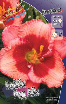 Hemerocallis Baby Red Eyes 278,7 .  2 ..jpg