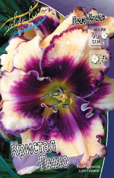 Hemerocallis Crystal Pinot 303,00.  2 ..jpg