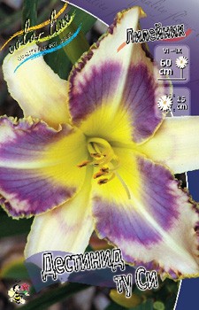 Hemerocallis Destined To See 254,4.  2 ..jpg