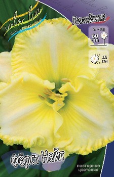 Hemerocallis First Knight 278,7 .  2 ..jpg