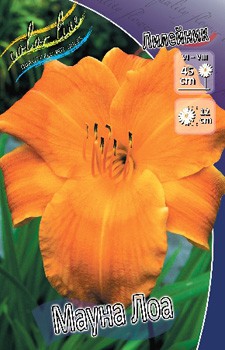 Hemerocallis Mauna Loa 171,8.  3 ..jpg