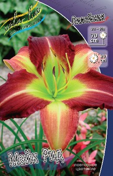 Hemerocallis Mike Reed 278,7 .  2 ..jpg