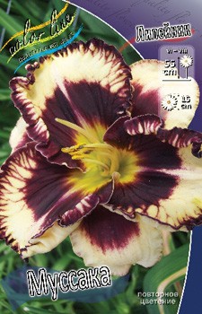 Hemerocallis Moussaka 290,8.  2 ..jpg