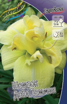 Hemerocallis Shamrock Double Lemon 412,3.  3 ..jpg