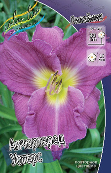 Hemerocallis Unchartered Waters 205,8.  2 ..jpg