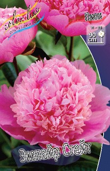 Paeonia Empire State 317,5 .  2 .jpg