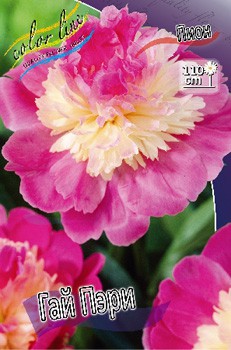 Paeonia Gay Paree 473 .  2 .jpg