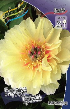 Paeonia ITOH Garden Treasure 922,3.  1 ..jpg