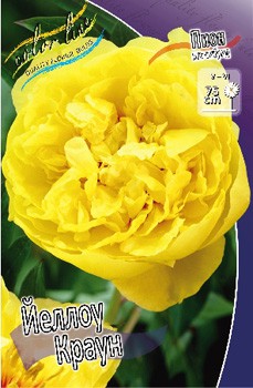 Paeonia ITOH Yellow Crown 770,5.  1 ..jpg