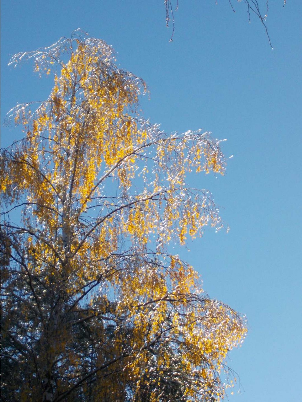 2014-10-19_16.34.37_l_cr.jpg