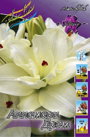 Lilium Annemarie Dream 10 . 318,4 ..jpg