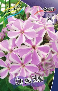 Phlox All In One 306,6.  3 ..jpg