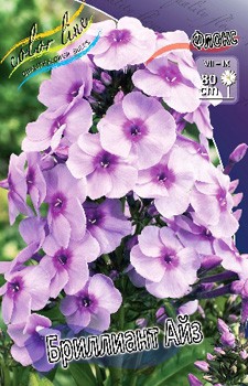 Phlox Brilliant Eyes 147,5 .  5 ..jpg