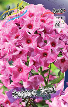 Phlox Ferris Wheel 284,7.  5 ..jpg