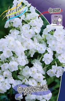 Phlox Fujiyama 147,5 .  5 ..jpg