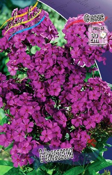 Phlox Nicky 181,5 .  5 ..jpg