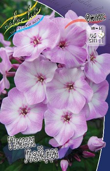 Phlox Pink Lady 315,10.  5 ..jpg