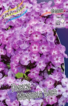 Phlox Pixie Miracle 173 .  5 ..jpg