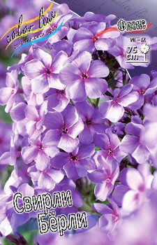 Phlox Swirley Birly 315,10.  5 ..jpg