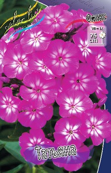 Phlox Tatjana 309.  5 ..jpg