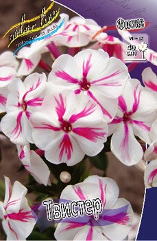 Phlox Twister 339,4 .  3 ..jpg