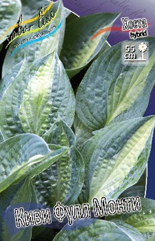 Hosta Kiwi Full Monty 254,4 .  2 .jpg